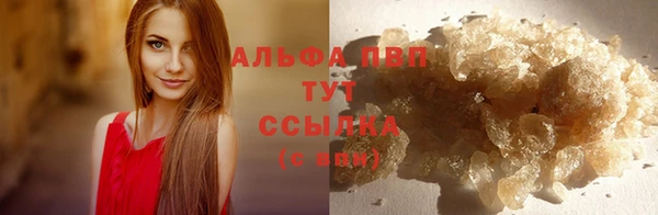 ПСИЛОЦИБИНОВЫЕ ГРИБЫ Горнозаводск