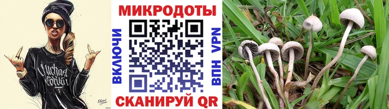 Псилоцибиновые грибы Cubensis продажа наркотиков Заполярный